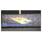 KENTUCKY WILDCAT,CANVAS PRINT