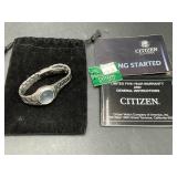 Citizen ECO Drive WR100 Watch