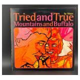 2003 Ween 'Tried & True/Mtns & Buffalo' 45 Promo