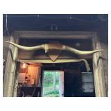 bull horns