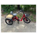 EMOJO bull electric tricycle