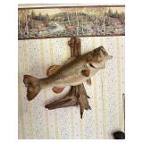 Largemouth bass fish mount