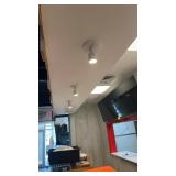 Five ceiling mount LED adjustable spotlights