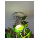 5 CEILING MOUNT LED SPOTS