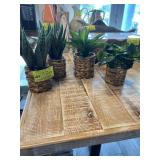 Four small plants in baskets artificial