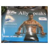 Ally Peaks Pull up Bar