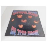 VINYL LP *GRATEFUL DEAD *IN THE DARK *VINTAGE