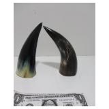 Pair of Polished Bull/Cow Horns