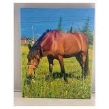 New - Sealed:  Horse on Canvas