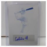 2019 LEAF PG CALVIN HARRIS CYAN AUTO RC PLATE 1/1