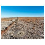 163+/- Acres of Hunting/Grazing in Kiowa Co., Ks