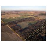 156+/- Acres Hunting/Tillable in Reno County, Ks