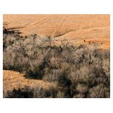 Tract 1 - 287.8+/- Acres in McPherson County, Ks