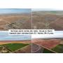632+/- Acres in Kiowa & Comanche County, Ks (4 tracts)