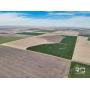 238+/- Acres of Excellent Tillable in Rush County, Ks