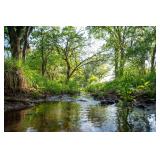 77+/- Acres in Kingman County, Ks