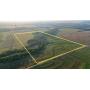 77+/- Acres of Exceptional Hunting in SE Kingman County, Ks