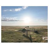 158+/- Acres in Pratt County, Ks