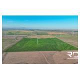 160.5+/- Dual Income Acres in Ness County, Ks