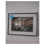 Framed Tulip Print