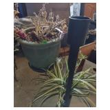 Outdoor Pot and Misc