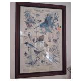 Framed Artwork