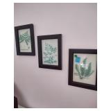 Framed Art set of 3