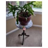 Wood Table Plant Stand with Plant