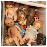 Dolls and Misc Collection