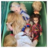 Collectible Doll Collection
