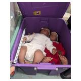 Collectible Dolls and Misc