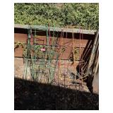 Tomato Cage Lot