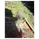 Tomato Cage Lot