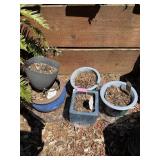 Garden Pots Lot
