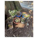 Garden Pots