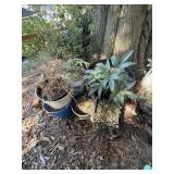 Gardening Pots
