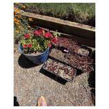 Gardening Lot