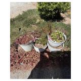 Gardening Lot