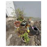 Gardening Lot