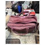 2 Bowling Balls and Carrier