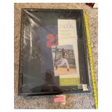 Framed Artwork