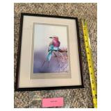 Framed Artwork