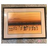Framed Artwork