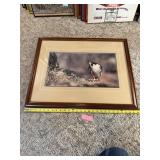 Framed Artwork
