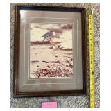 Framed Artwork