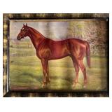 Vintage Framed Print of thoroughbred Race Horse