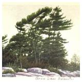 'GREY DAY BEAUTY' by Ingrid Hunt Lithograph