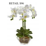Nearly Natural Triple Phalaenopsis Orchid #11.7