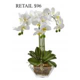 Nearly Natural Triple Phalaenopsis Orchid #11.7