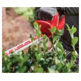 R$39 Homelite 12V Cordless Hedge Trimmer